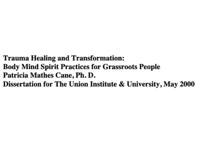 Trauma Healing and Transformation: Body Mind Spirit Practices for Grassroots People