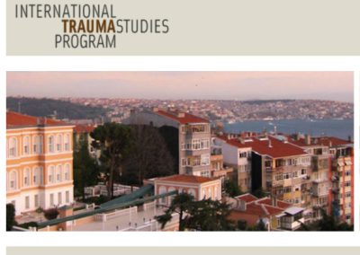 International Trauma Studies Program