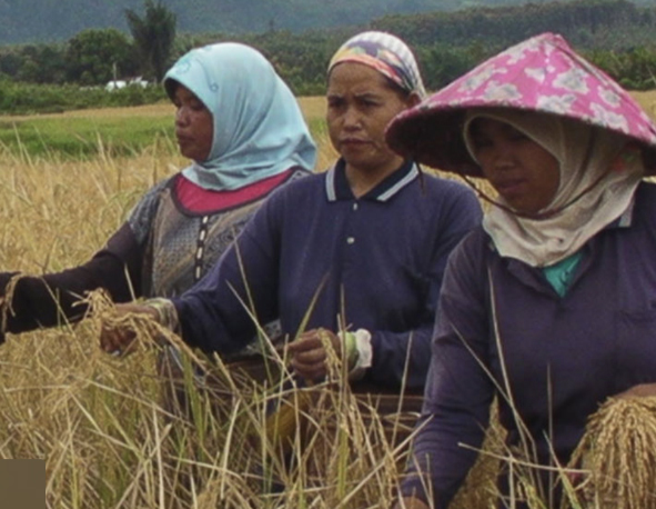 Self-Care and Collective Well-being, Association for Women’s Rights In Development (2016)