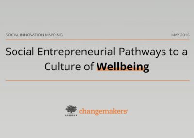 Social Entrepreneurial Pathways for a Culture of Wellbeing